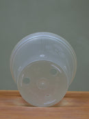 Clear Pot 15cm