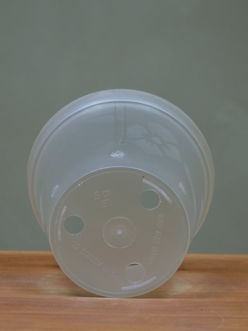 Clear Pot 15cm