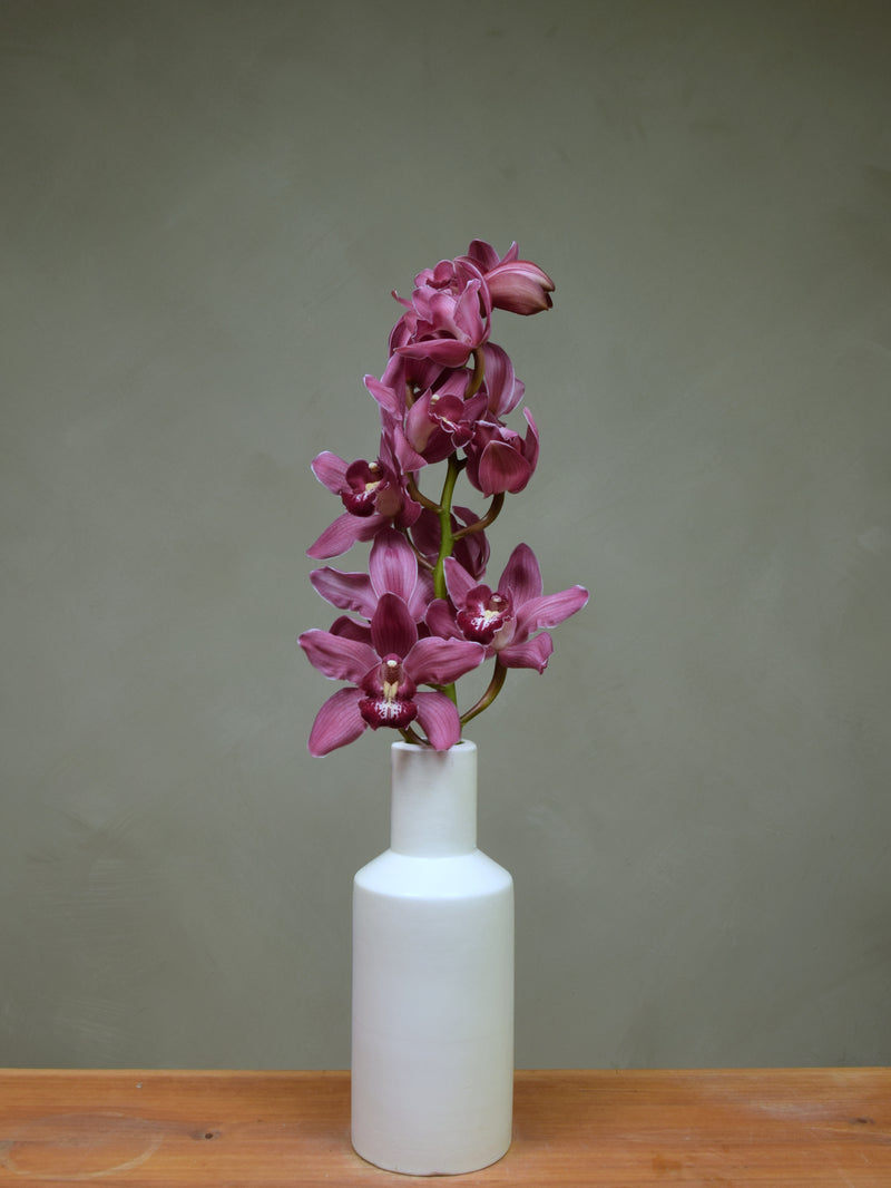Duckitt Candy 'Magenta'