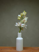Fairlands 'Marielle'