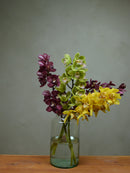 Half Mix Colour Cymbidium Box