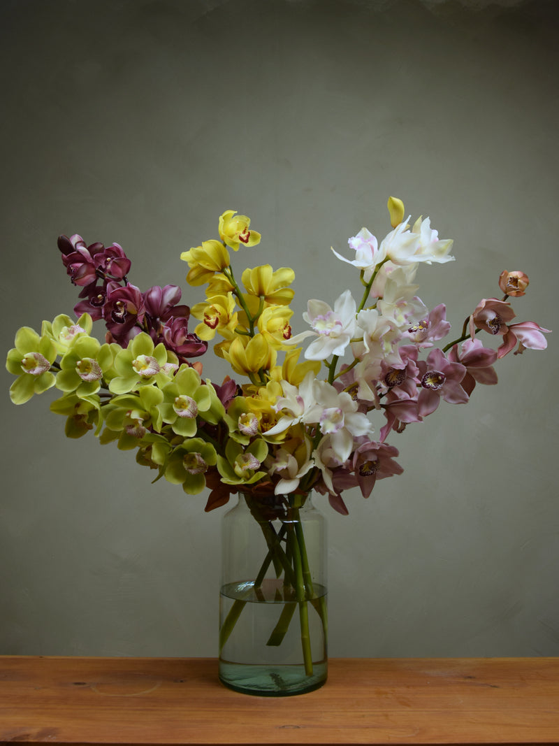 Mix Colour Cymbidium Box