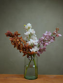 Half Mix Colour Cymbidium Box