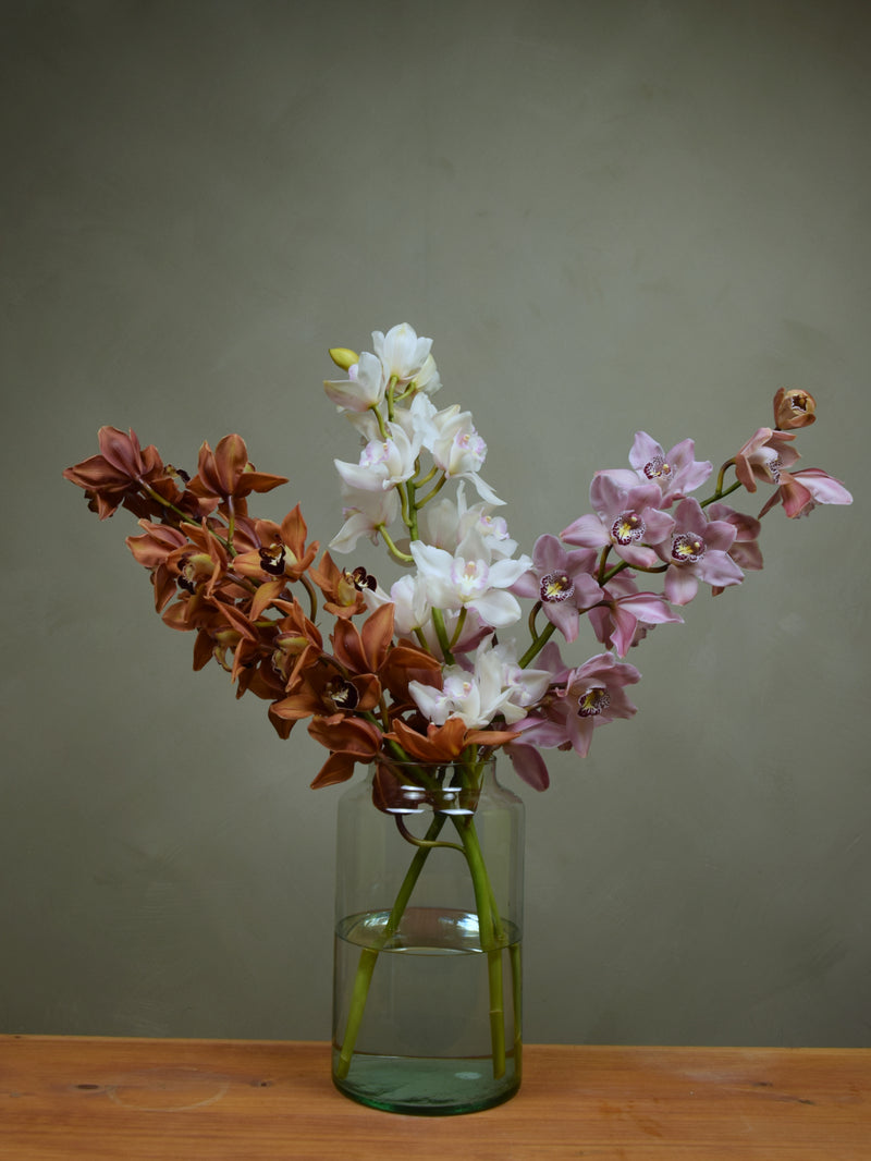 Half Mix Colour Cymbidium Box