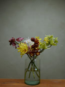 Half Mix Colour Cymbidium Box