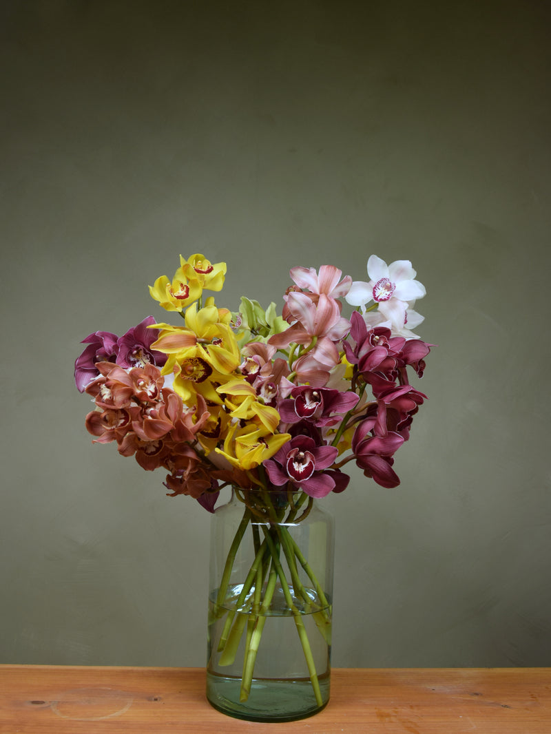 Mix Colour Cymbidium Box