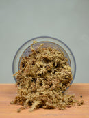 Sphagnum Moss 6L