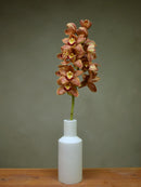Orpen 'Lynne'
