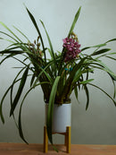 Rowena 'MCILRAE' "Pinky"