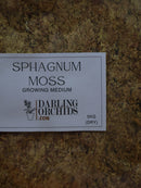 Sphagnum Moss 5kg bale