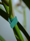 Velcro Plant Ties