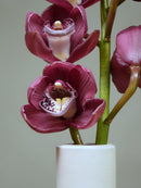 Wyong Flame 'Dural'