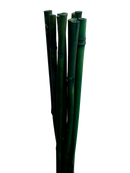 Bamboo Sticks x 10